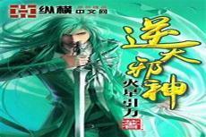逆天邪神 小说