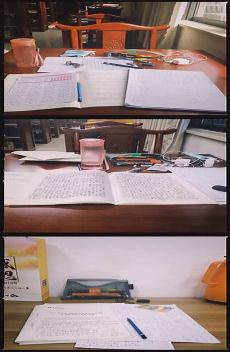带着商场穿六零作者白日坐梦